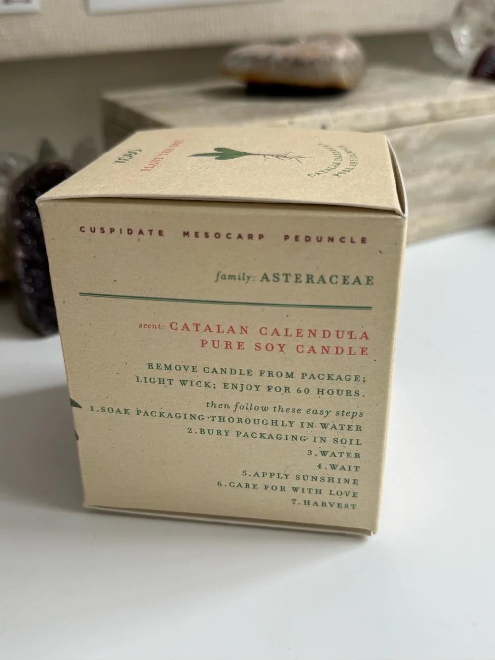 KOBO NIB Catalan Calendula candle - Picture 4 of 7